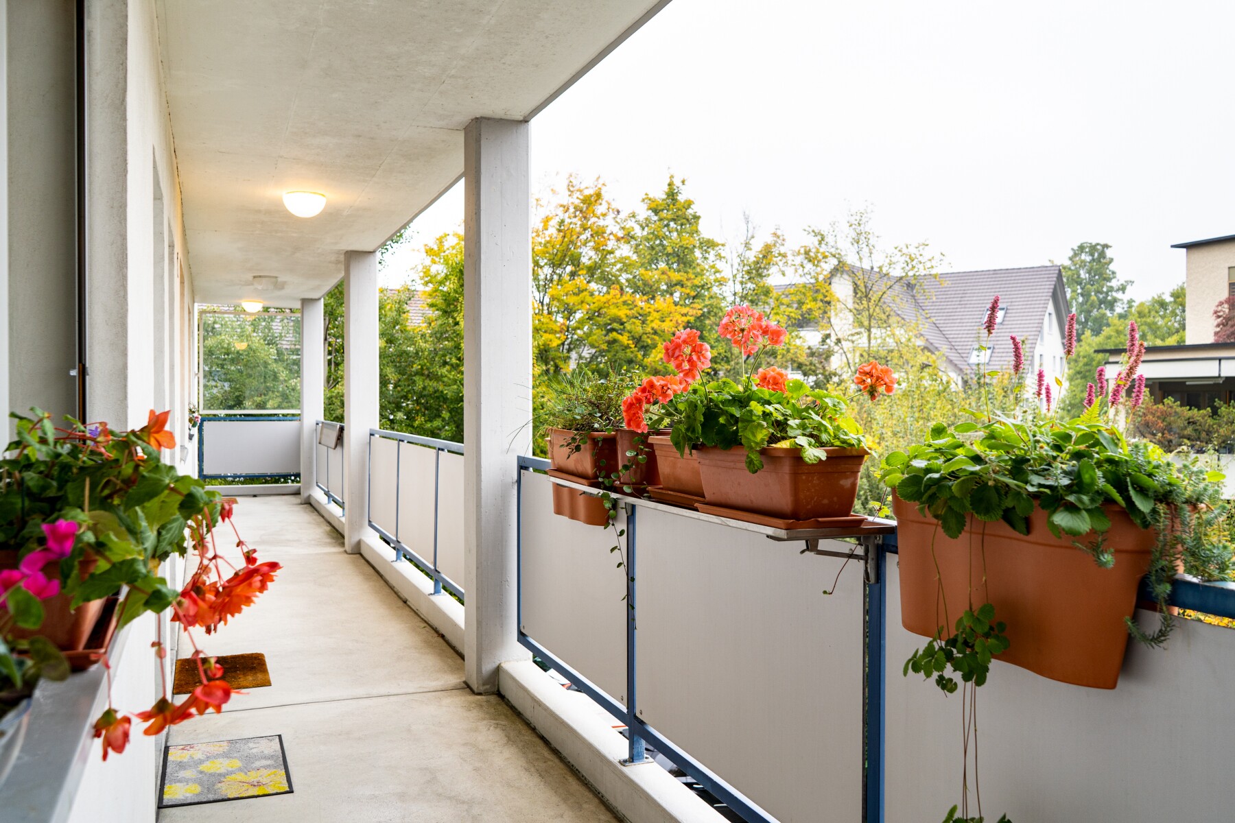 /data/img/full/dv20220110-173508-504.jpg Wo’s blüht, lebts sich besser: Die Mieterschaft sorgt selber für Blumenschmuck.